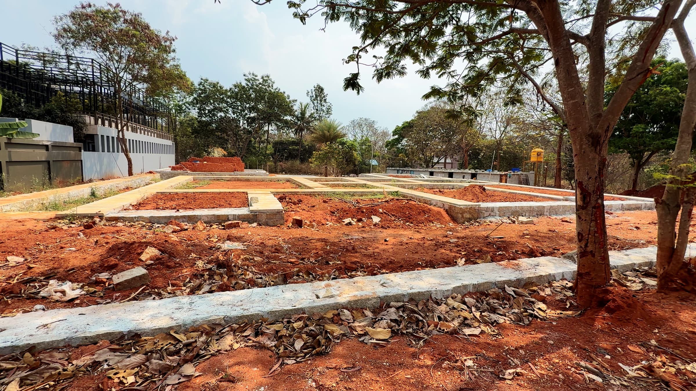 Jain Farms — foundation grid tree