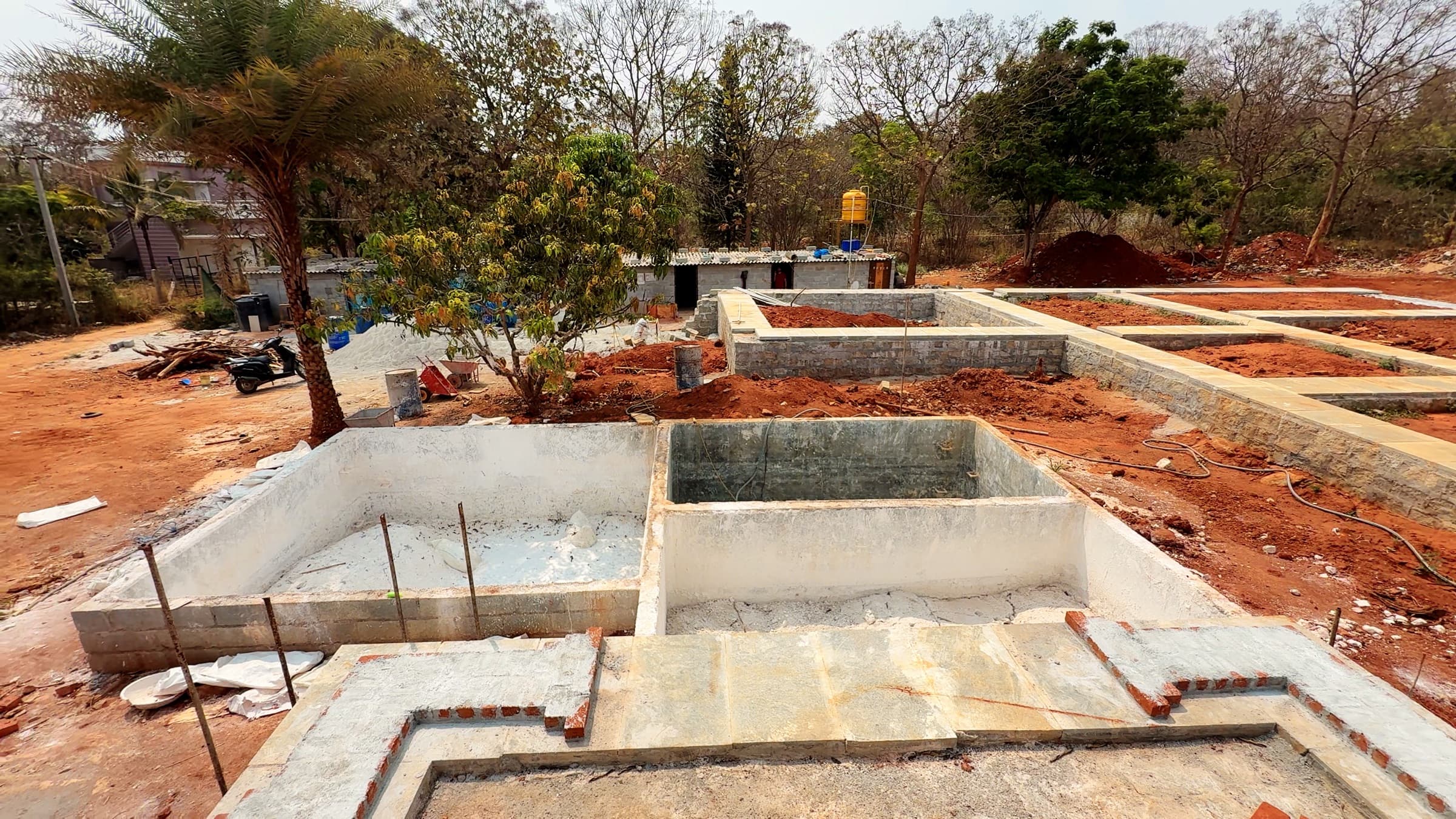 Jain Farms — tanks mango tree